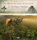 Archipel malais (L')